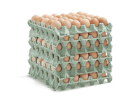 Local Egg